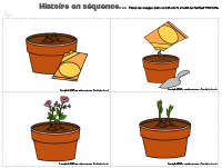 Histoire en séquence-Plante Histoire en séquence-Plante