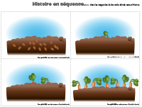 Histoire en séquence-légumes