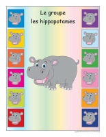 Identification groupe-Les hippopotames