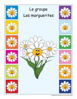 Identification groupe-Les marguerites