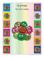 Identification groupe-Les microbes Identification groupe-Les microbes
