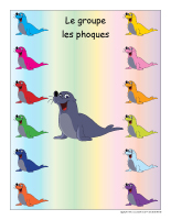 Identification groupe-Les phoques