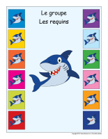 Identification groupe-Les requins