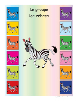Identification groupe-Les zèbres Identification groupe-Les zèbres