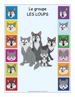 Identification groupe-Loups