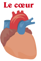 Image Coeur Image Coeur
