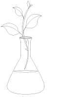 Images à colorier - Les sciences Images à colorier - Les sciences