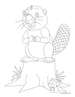 Images à colorier-Animaux sauvages