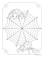 Images a colorier-Araignees