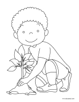 Images a colorier-Fleurs 2026-1