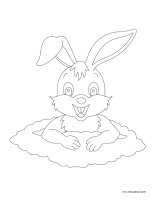 Images à colorier-Lapins