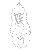 Images à colorier-Le safari Images à colorier-Le safari