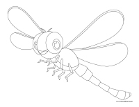 Images à colorier-Les libellules Images à colorier-Les libellules