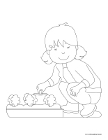 Images à colorier-Les semences Images à colorier-Les semences
