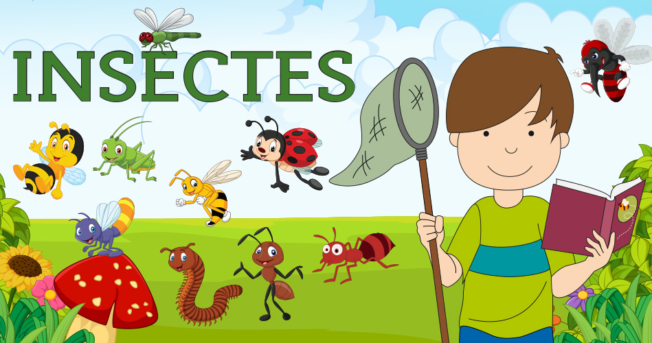 Jeu scientifique : Des insectes et des plantes