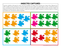 Insectes capturés-2