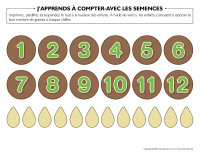 J’apprends à compter-Avec les semences-1