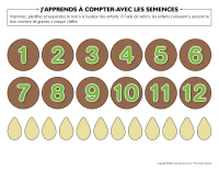 J’apprends à compter-Avec les semences-1