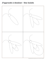 J'apprends à dessiner-Les lucioles J'apprends à dessiner-Les lucioles
