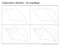 J'apprends à dessiner-Un coquillage J'apprends à dessiner-Un coquillage