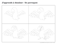 J'apprends à dessiner-Un perroquet