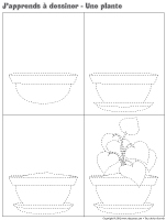 J'apprends à dessiner-une plante