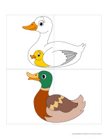J’invente mon canard