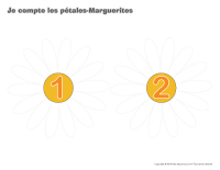 Je compte les pétales-Marguerites