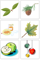 Jeu - L'arbre est dans ses feuilles Jeu - L'arbre est dans ses feuilles