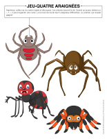 Jeu-Quatre-araignees