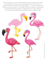 Jeu Quatre-flamants roses