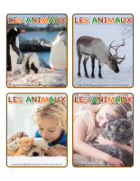 Jeu d&rsquo;images-Animaux-1