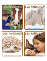 Jeu d&rsquo;images-Animaux-2