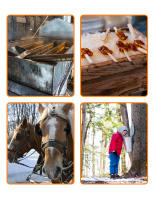 Jeu de construction en bois - Cabane à sucre