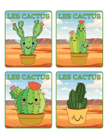 Jeu d’images-Cactus-1