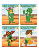 Jeu d’images-Cactus-2