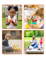 Jeu d'images-Canards-2