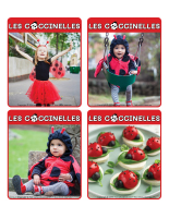 Jeu d&rsquo;images-Coccinelles-1