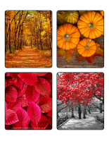 Jeu d’images-Couleurs d’automne-1