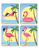 Jeu d’images-Flamants roses-1