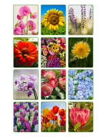 Jeu d’images-Fleurs 2026-3