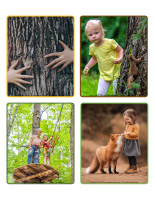 Jeu d’images-Forêt-1