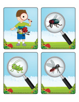 Jeu d'images-Insectes-2