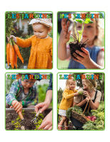 Jeu d’images-Jardins-1