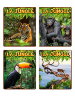 Jeu d’images-Jungle-1