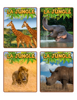 Jeu d’images-Jungle-2