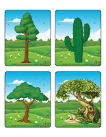 Jeu d'images-Les arbres-1