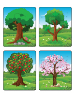 Jeu d'images-Les arbres-2