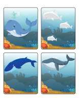 Jeu d'images-Les baleines Jeu d'images-Les baleines