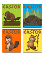 Jeu d'images-Les castors-2